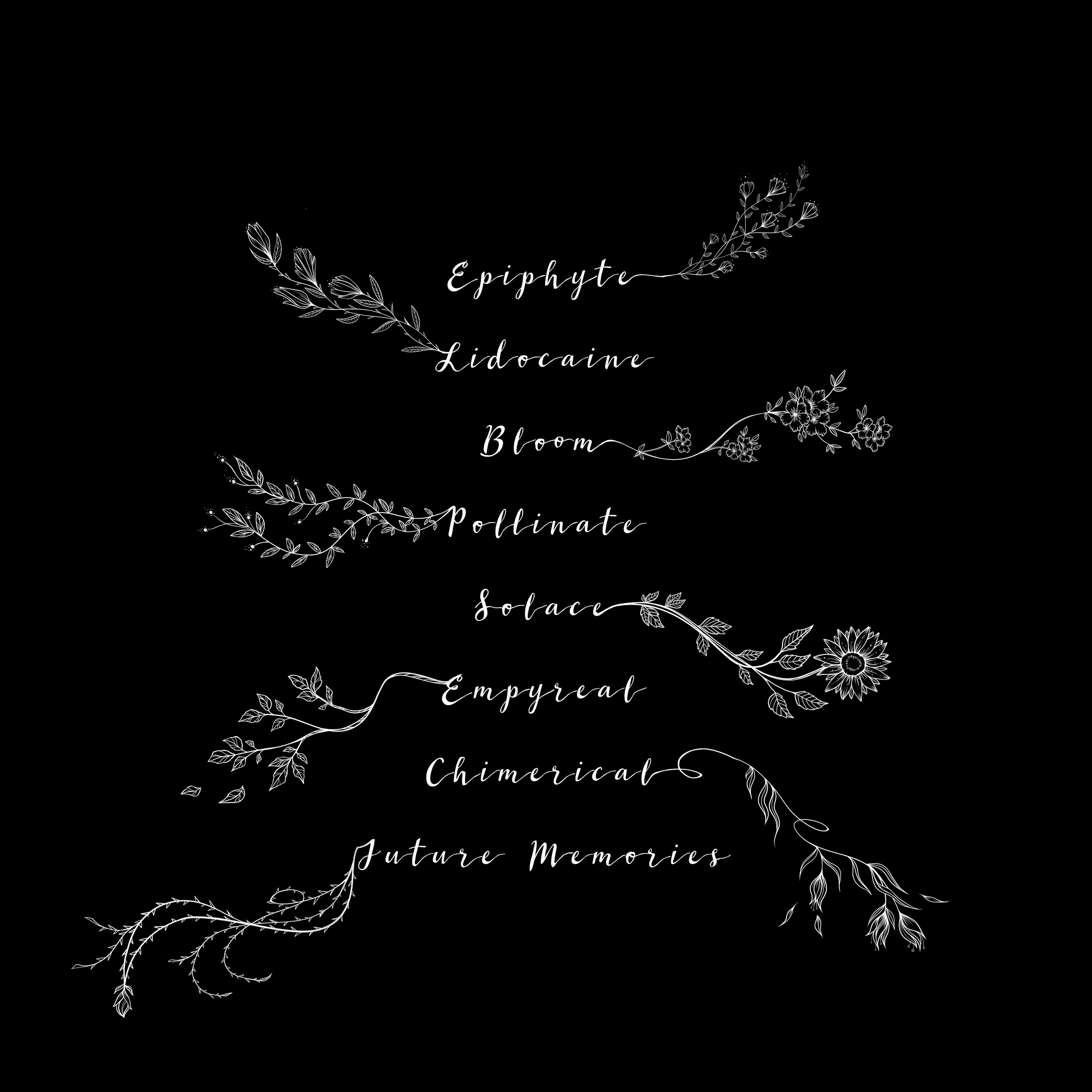 Bloom Digital Album – Roniit