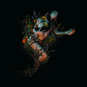Bloom Digital Album