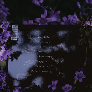 Bloom CD