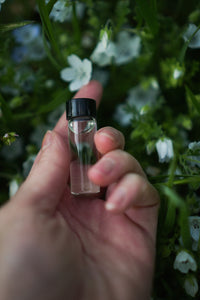 Bloom - Ritual Kit